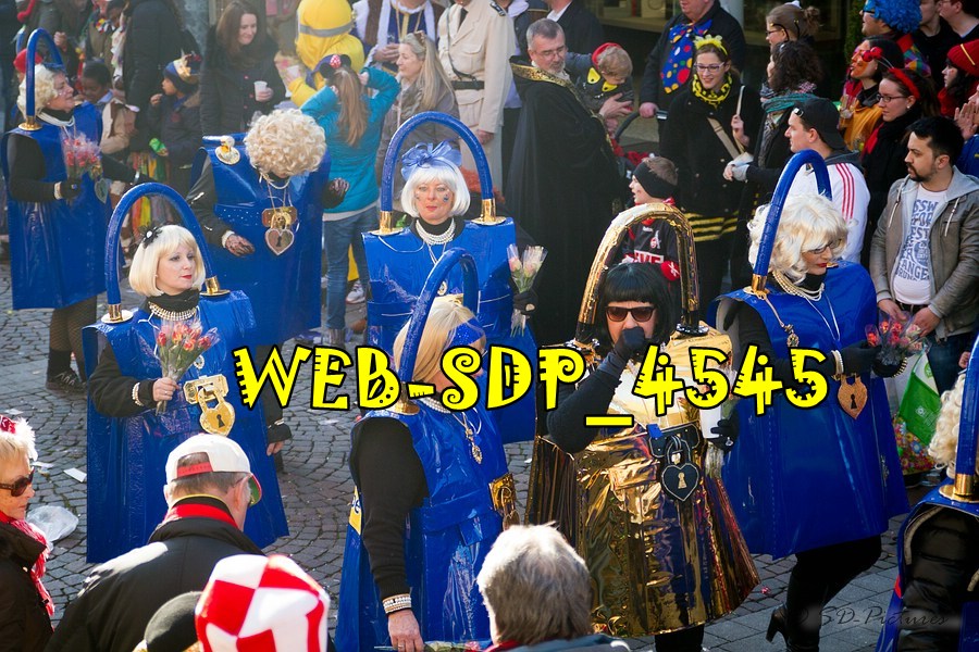 WEB SDP 4545
