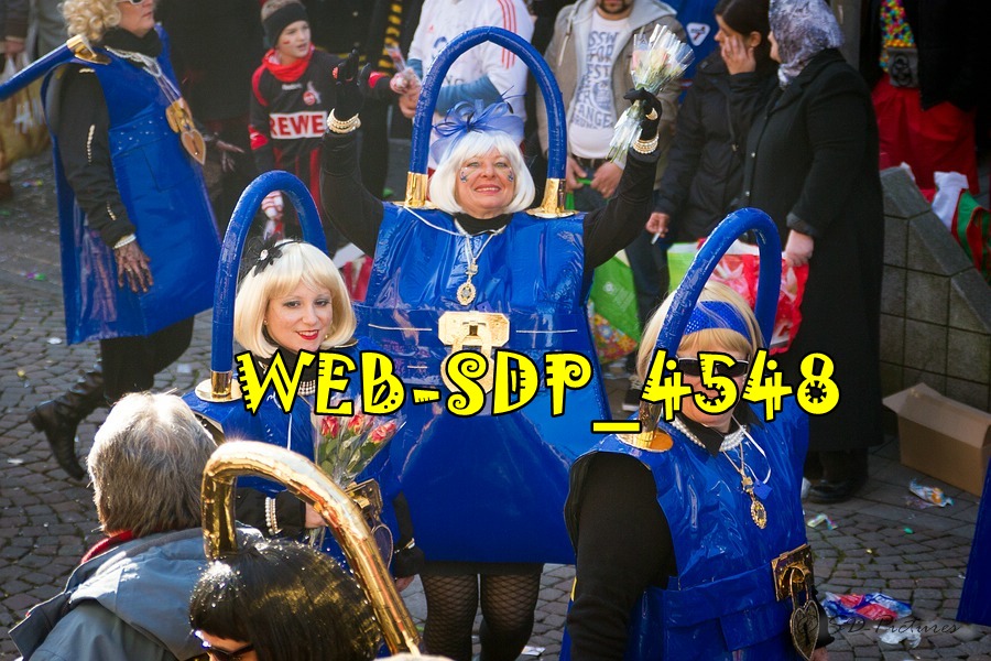 WEB SDP 4548