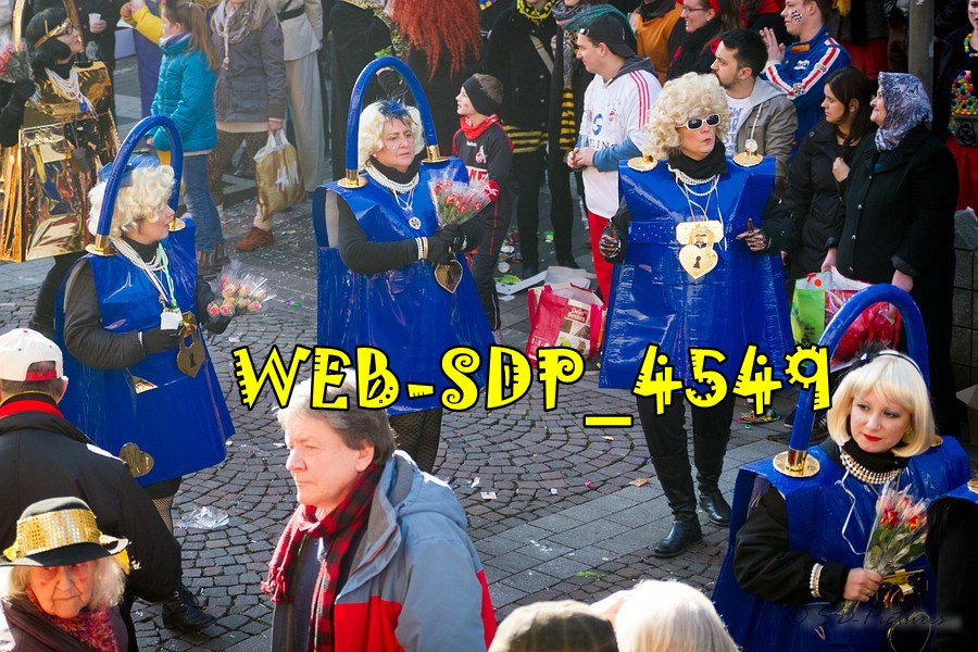 WEB SDP 4549