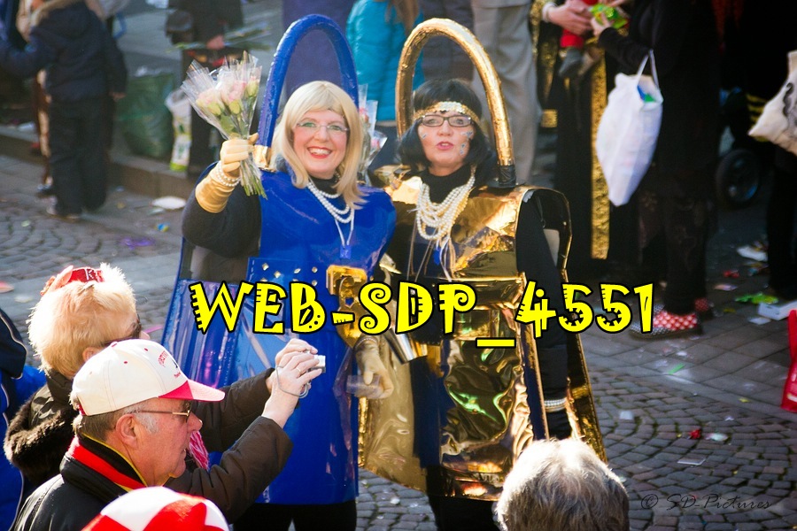 WEB SDP 4551