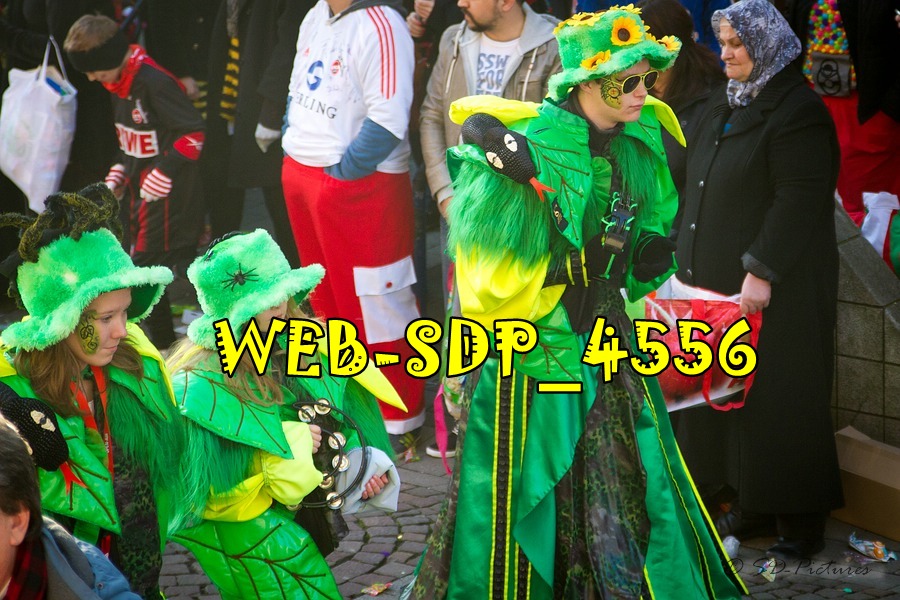 WEB SDP 4556