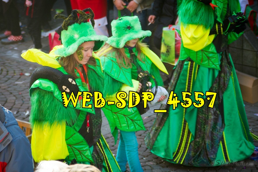 WEB SDP 4557