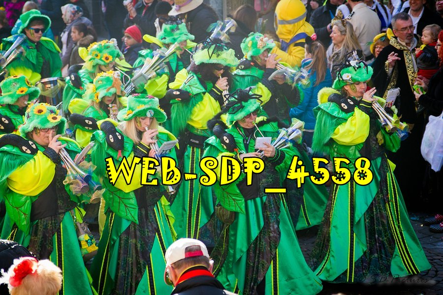 WEB SDP 4558