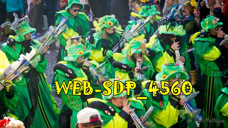 WEB SDP 4560