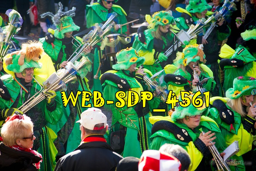 WEB SDP 4561