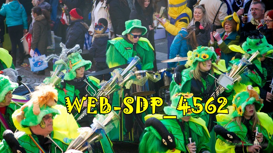 WEB SDP 4562