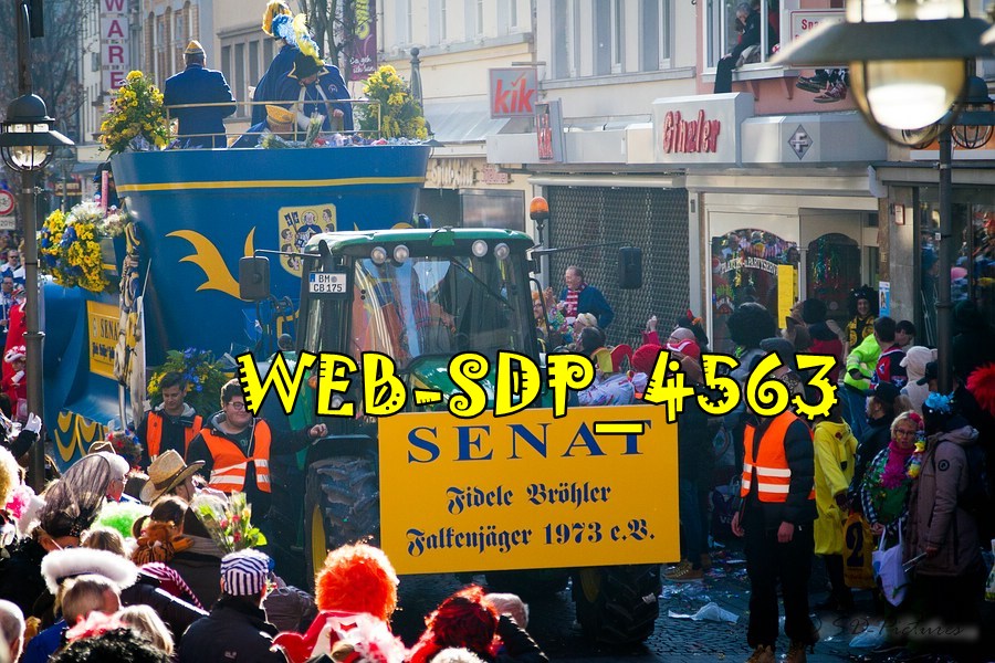 WEB SDP 4563
