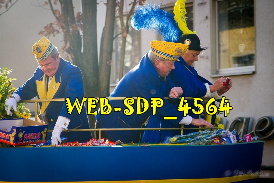WEB SDP 4564