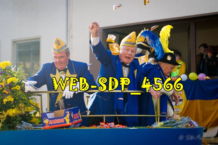 WEB SDP 4566