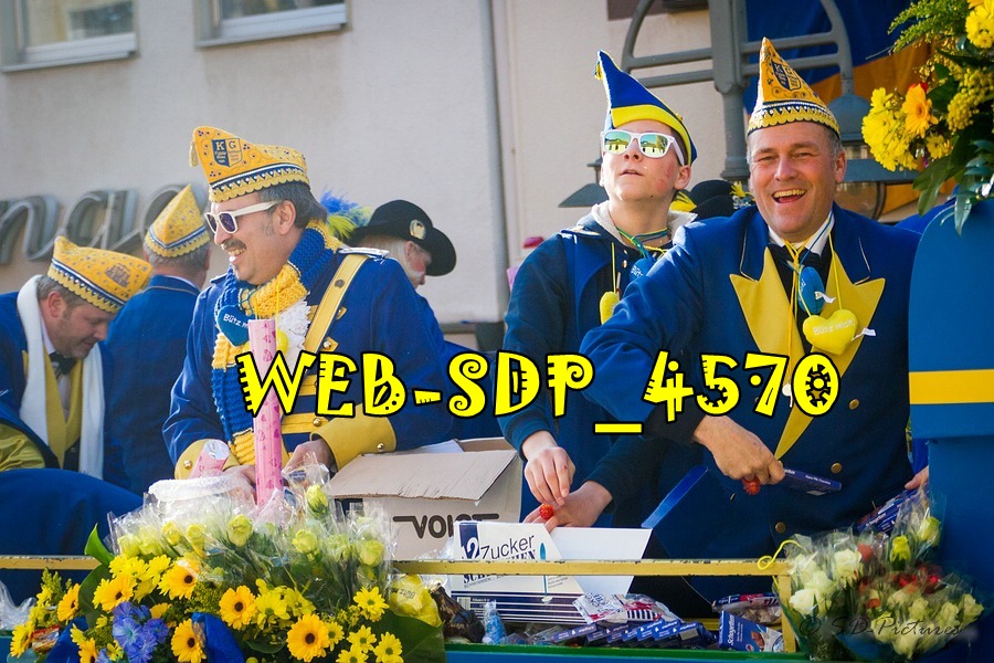 WEB SDP 4570