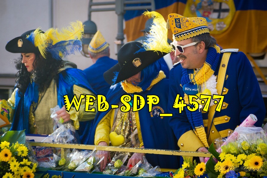 WEB SDP 4577