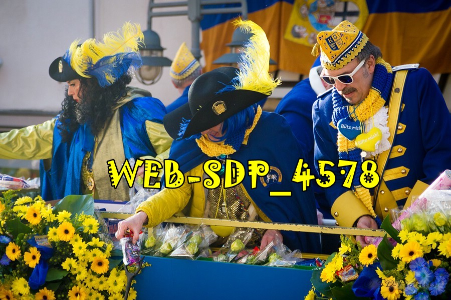 WEB SDP 4578