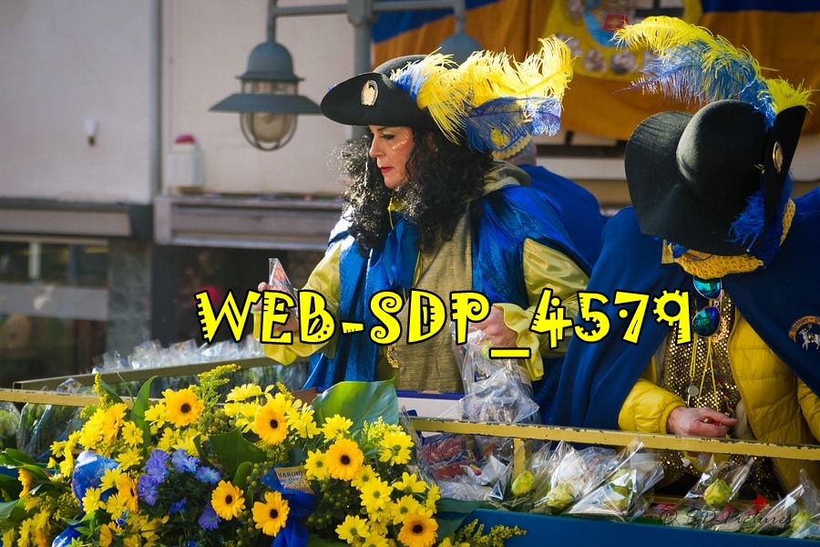 WEB SDP 4579