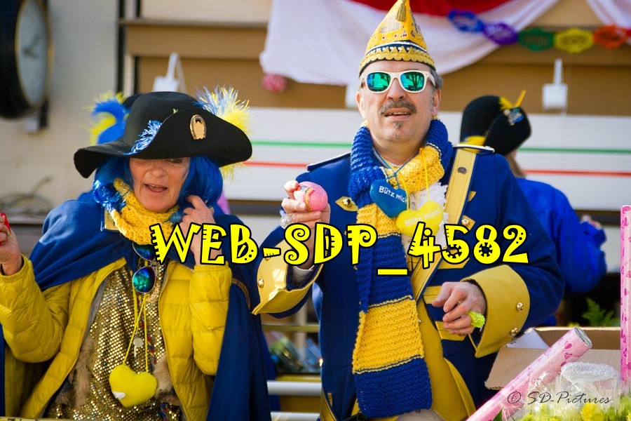 WEB SDP 4582