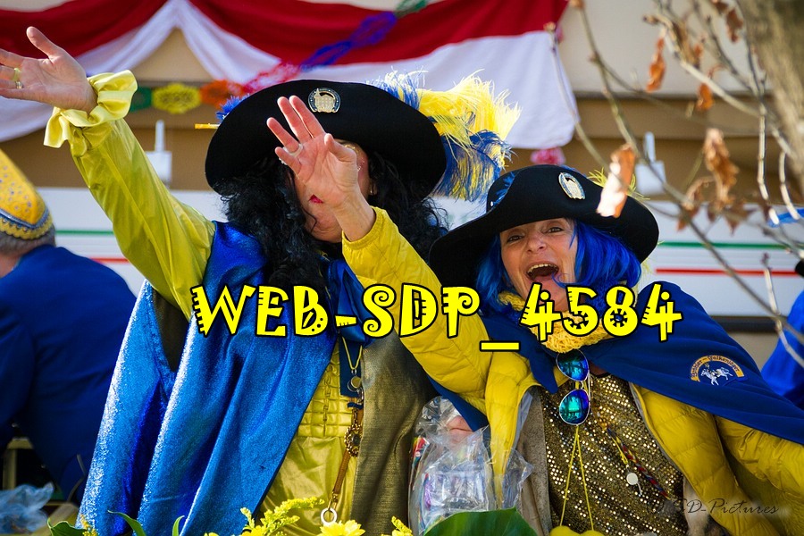 WEB SDP 4584