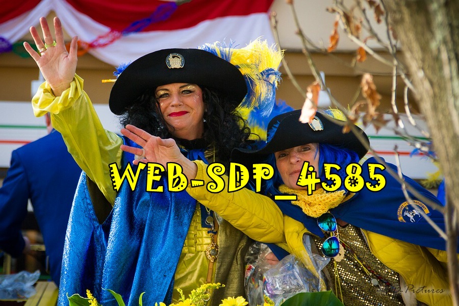 WEB SDP 4585