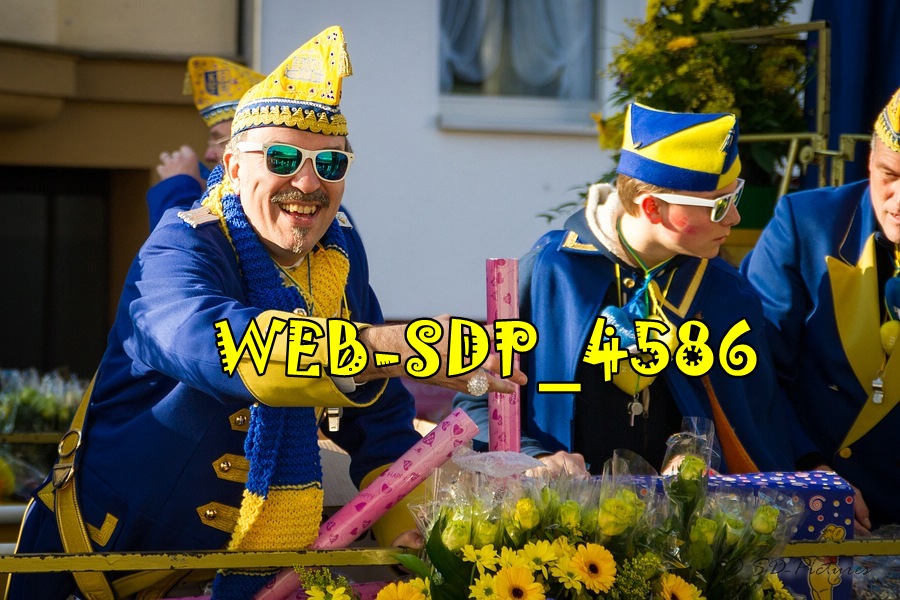 WEB SDP 4586