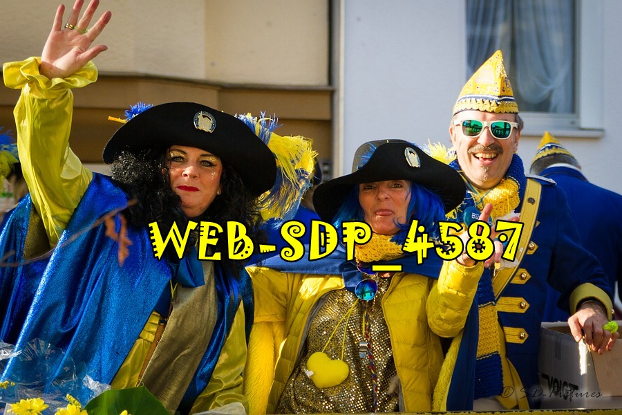 WEB SDP 4587