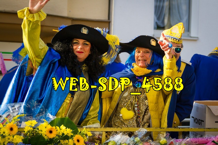 WEB SDP 4588