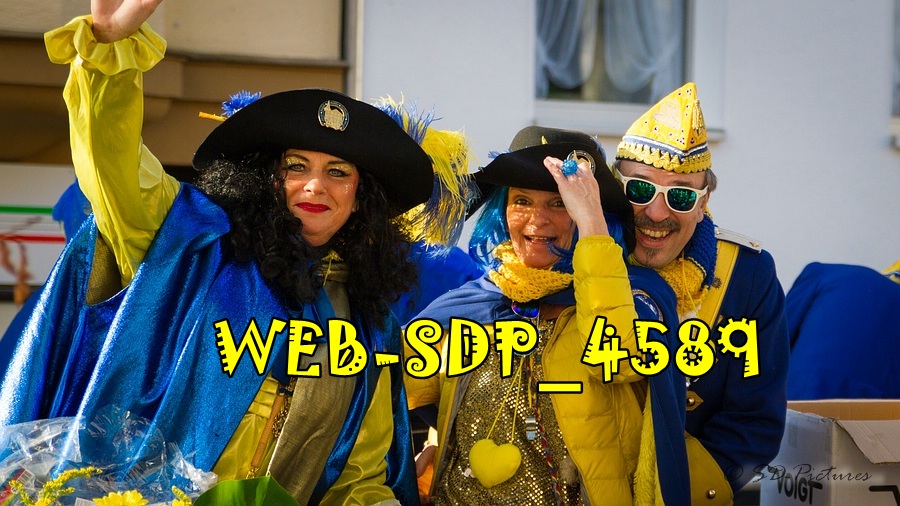 WEB SDP 4589