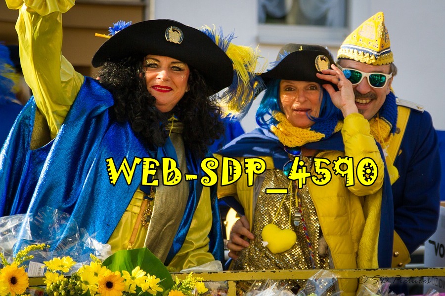 WEB SDP 4590