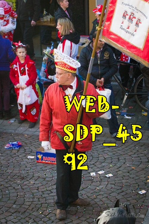 WEB SDP 4592