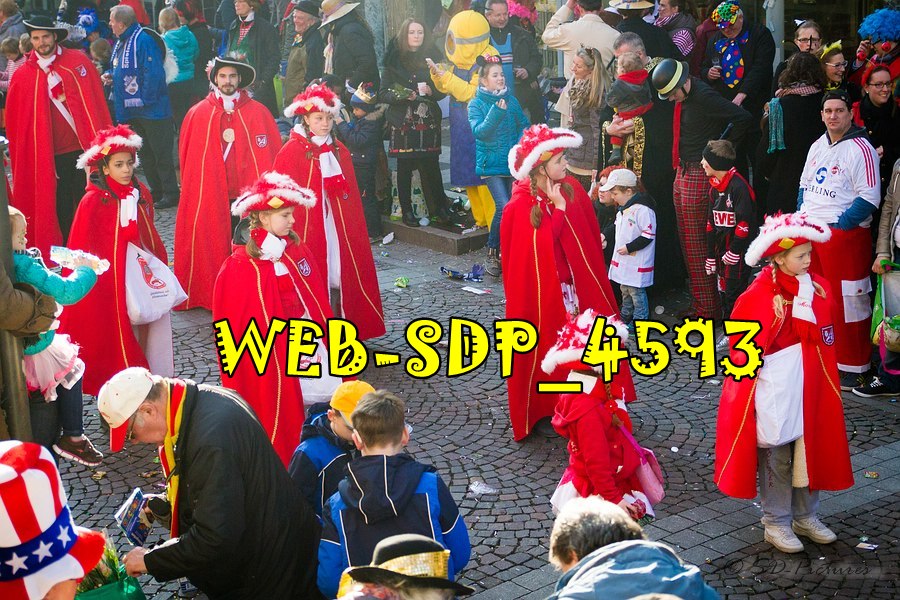 WEB SDP 4593