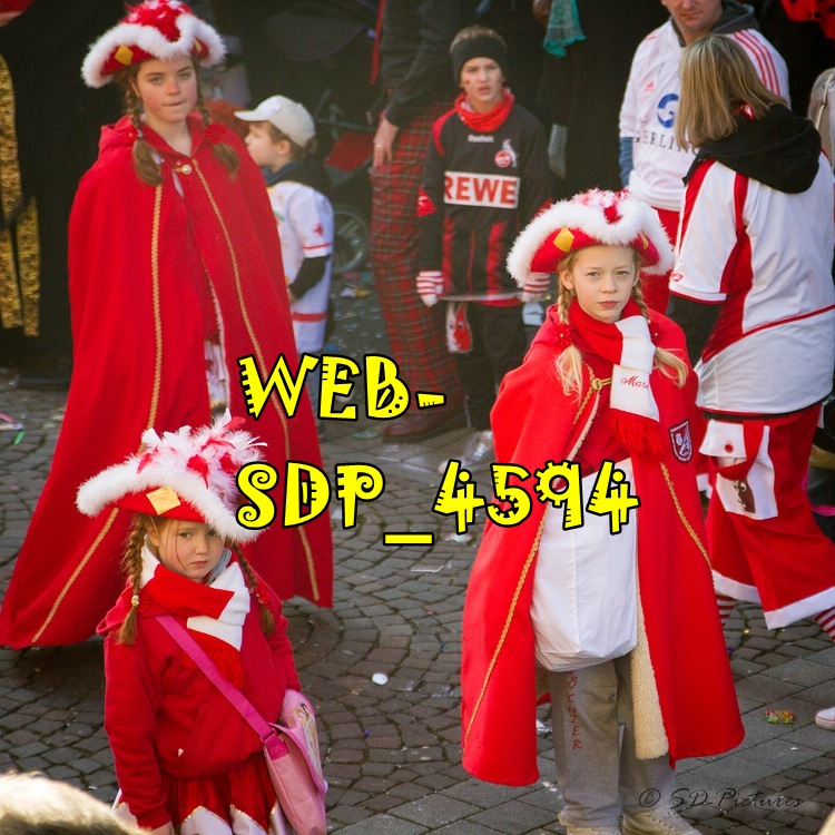 WEB SDP 4594