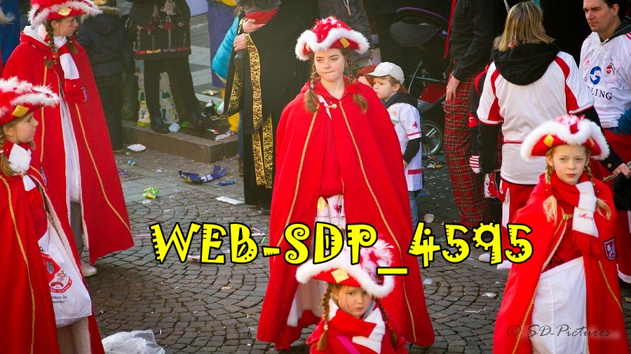WEB SDP 4595