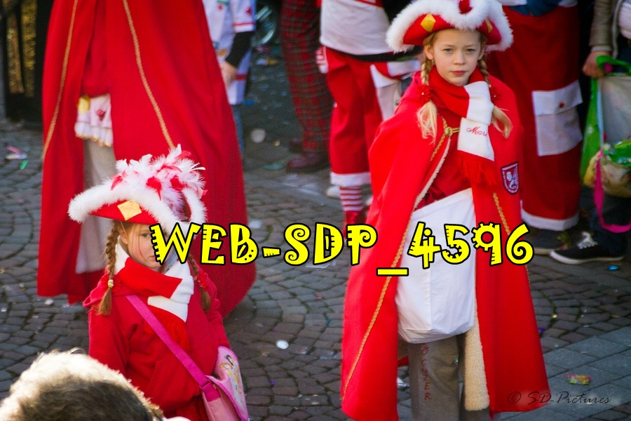 WEB SDP 4596