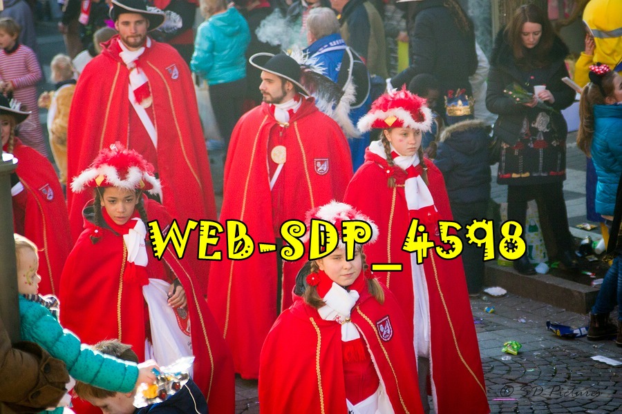 WEB SDP 4598
