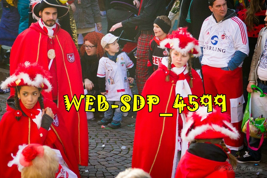 WEB SDP 4599