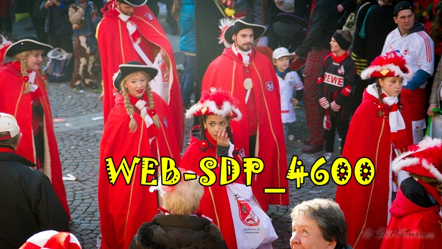 WEB SDP 4600