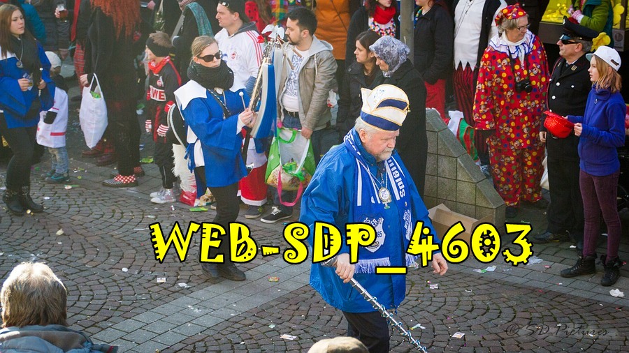 WEB SDP 4603