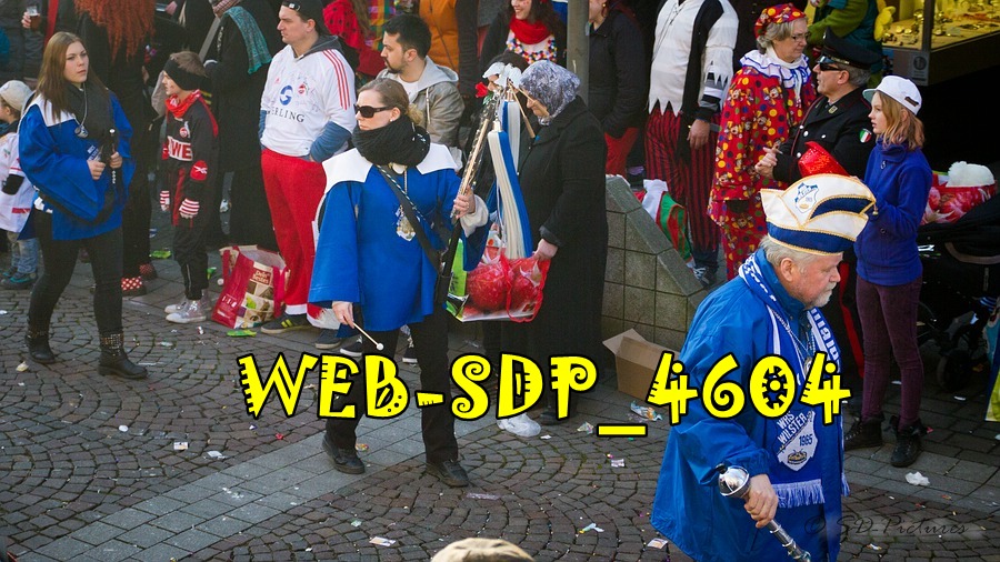 WEB SDP 4604