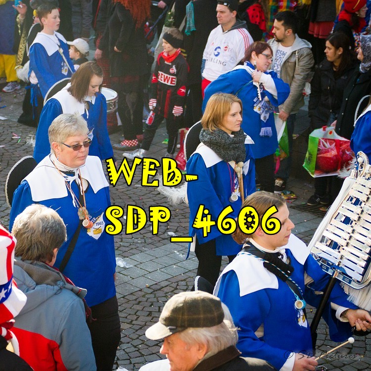 WEB SDP 4606