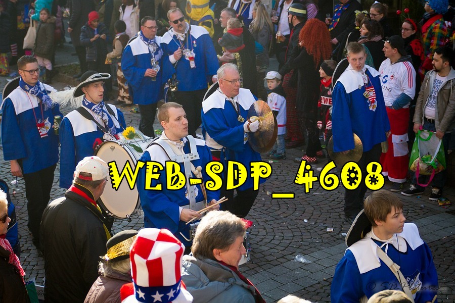 WEB SDP 4608