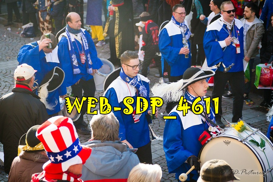WEB SDP 4611