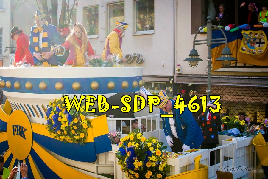 WEB SDP 4613