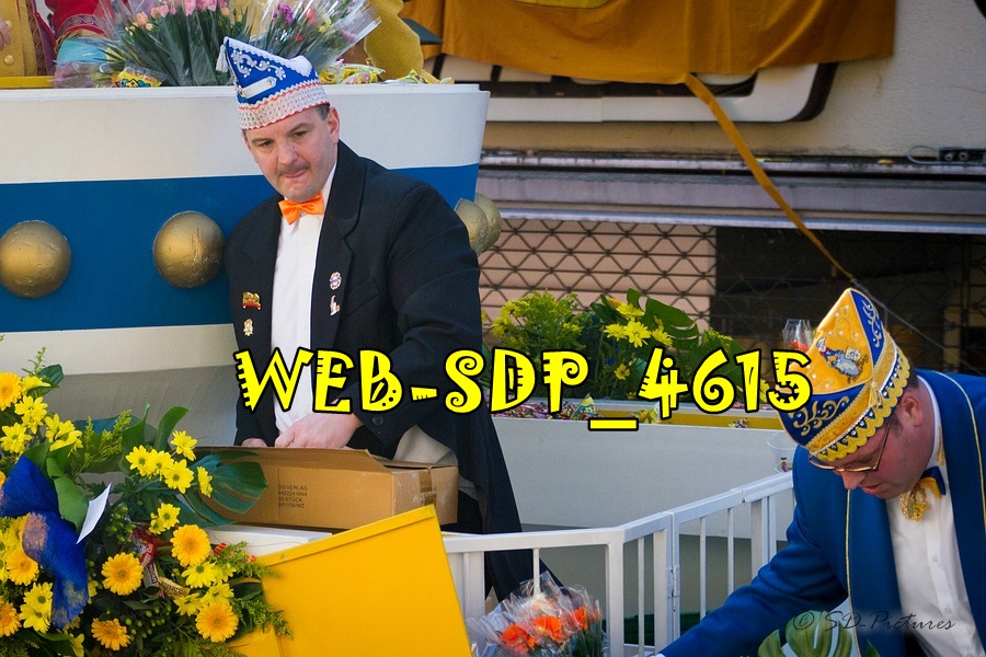 WEB SDP 4615