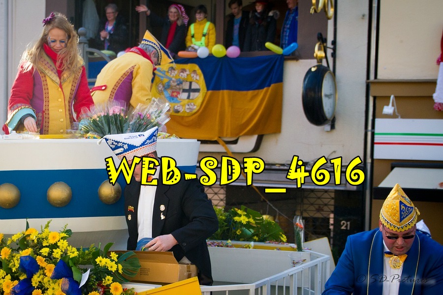 WEB SDP 4616
