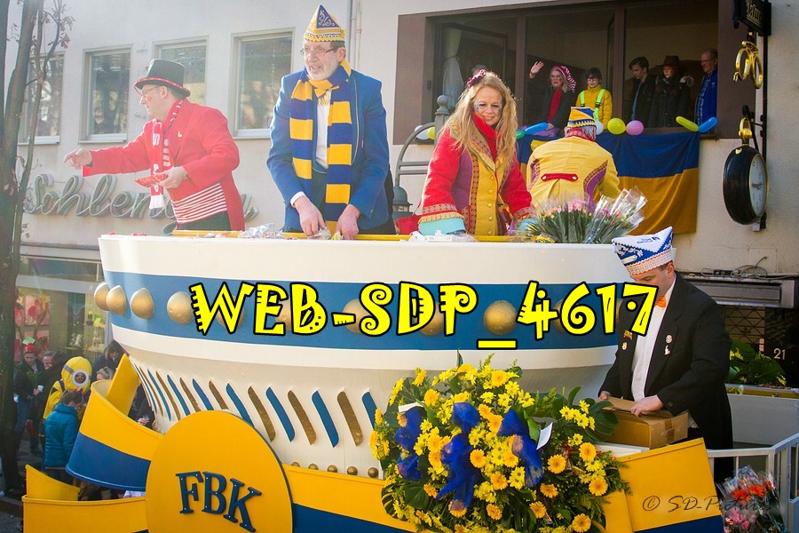 WEB SDP 4617