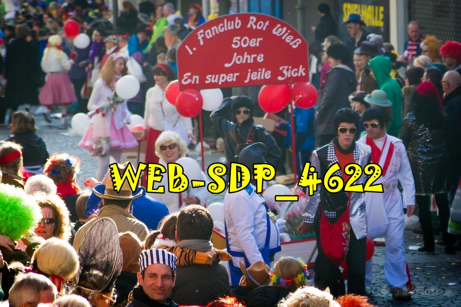 WEB SDP 4622