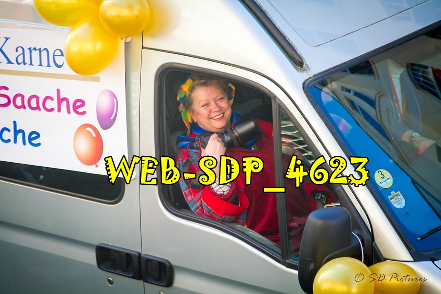 WEB SDP 4623