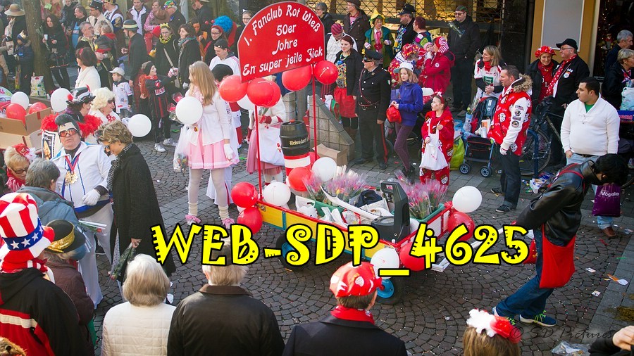 WEB SDP 4625