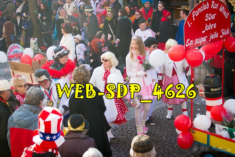 WEB SDP 4626