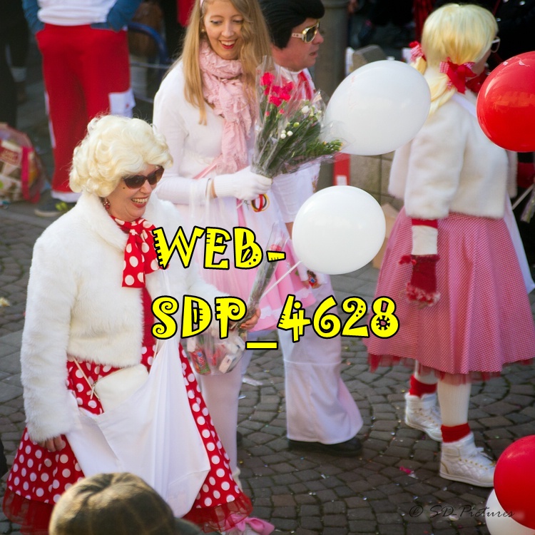 WEB SDP 4628