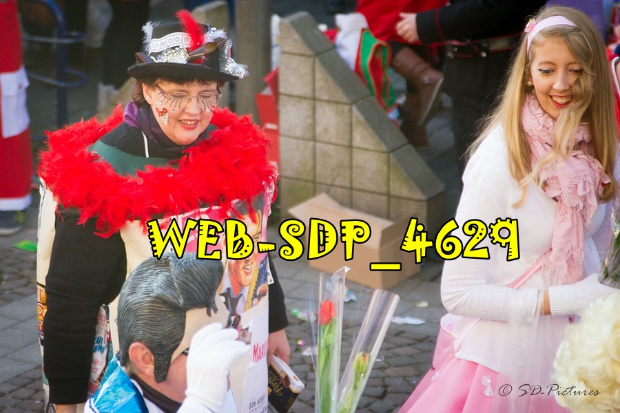 WEB SDP 4629