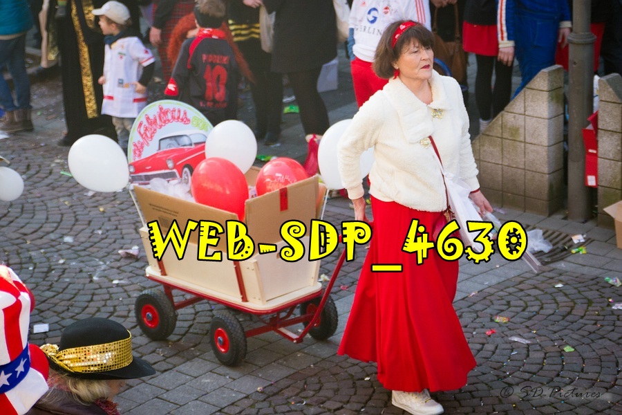 WEB SDP 4630