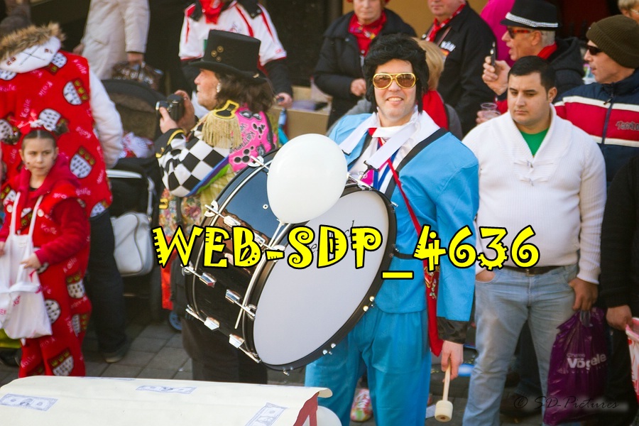 WEB SDP 4636